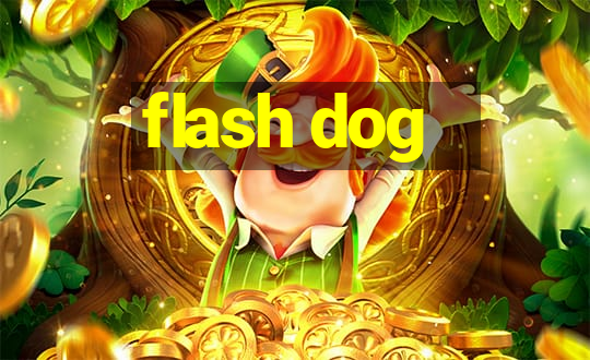 flash dog