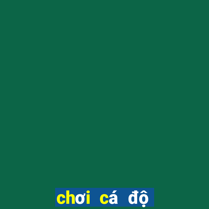 chơi cá độ bóng đá online