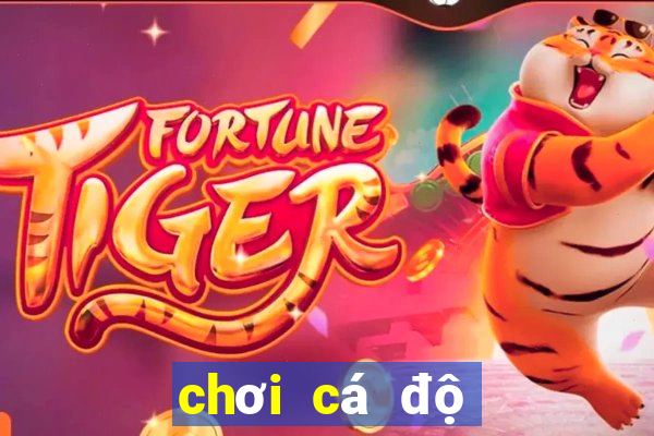 chơi cá độ bóng đá online