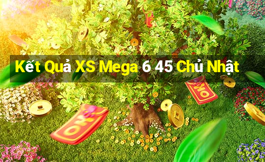 Kết Quả XS Mega 6 45 Chủ Nhật