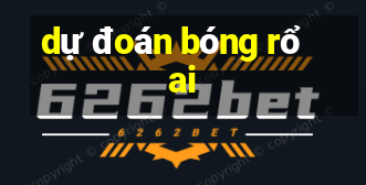 dự đoán bóng rổ ai