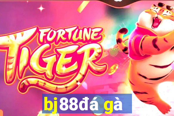 bj88 đá gà