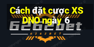 Cách đặt cược XSDNO ngày 6