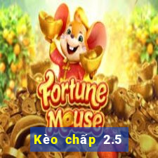 Kèo chấp 2.5 là gì