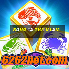 bóng đá thiếu lâm