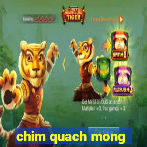 chim quach mong