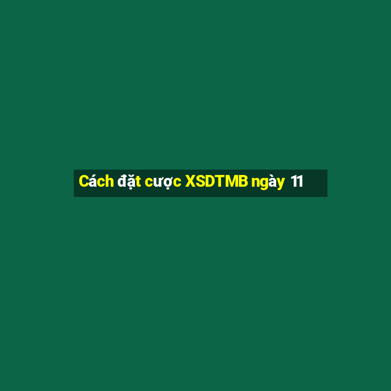 Cách đặt cược XSDTMB ngày 11