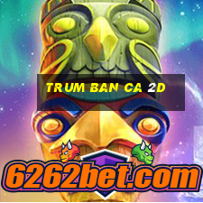 trum ban ca 2d