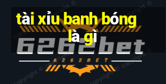 tài xỉu banh bóng là gì