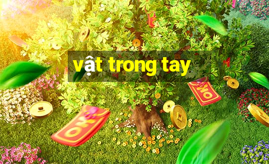 vật trong tay