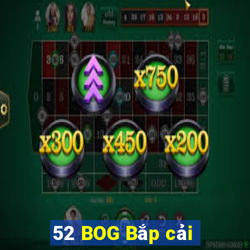 52 BOG Bắp cải