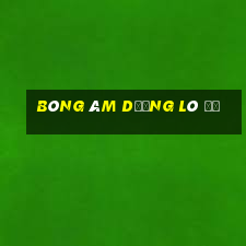 bóng âm dương lô đề