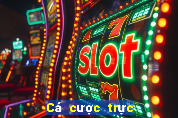 Cá cược trực tuyến kubet