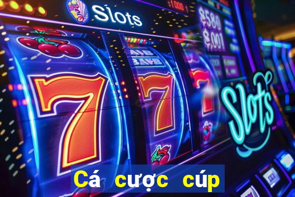 Cá cược cúp châu Âu 2024