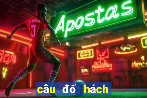 câu đố hách não có đáp án