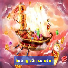 hướng dẫn sơ cứu