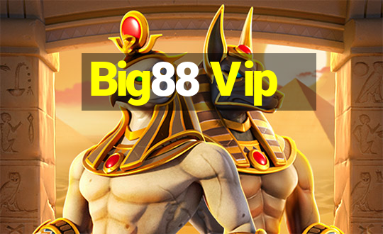 Big88 Vip