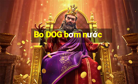 Bo DOG bơm nước