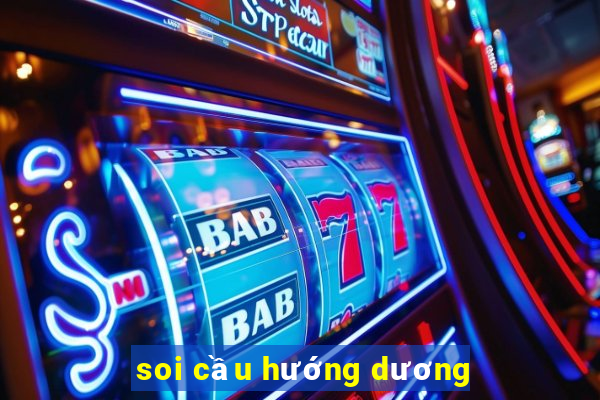 soi cầu hướng dương