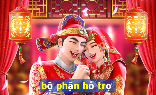 bộ phận hỗ trợ