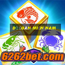 dự đoán miền nam