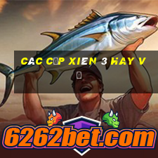 các cặp xiên 3 hay về