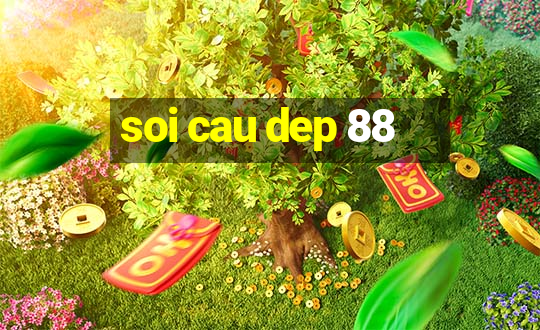 soi cau dep 88