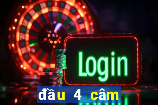 đầu 4 câm đánh lô gì