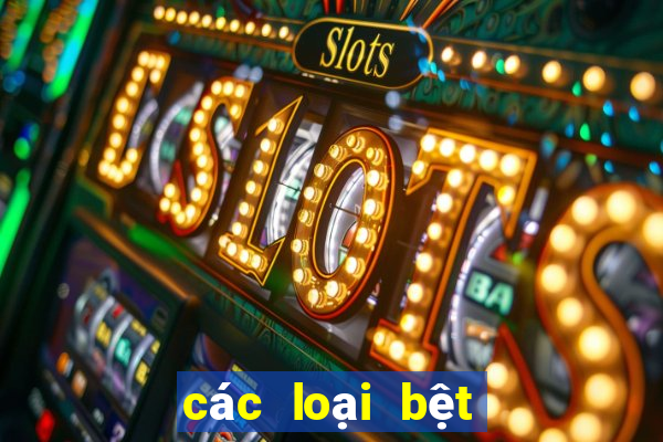 các loại bệt vệ sinh