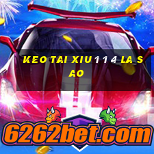 keo tai xiu 1 1 4 la sao