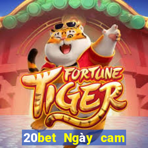 20bet Ngày cam giải trí