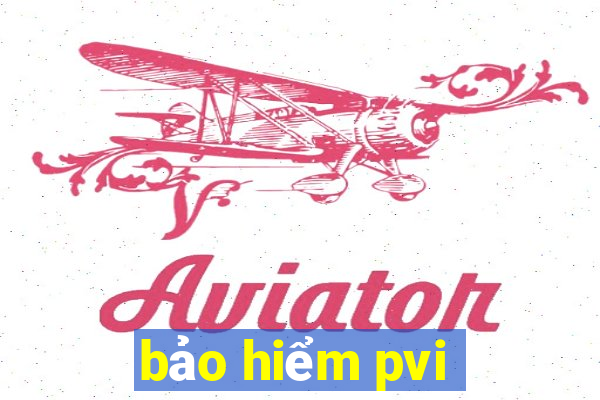 bảo hiểm pvi