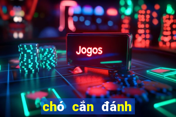 chó cắn đánh con đề gì