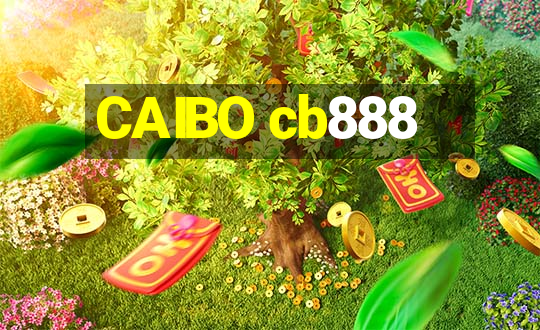 CAIBO cb888