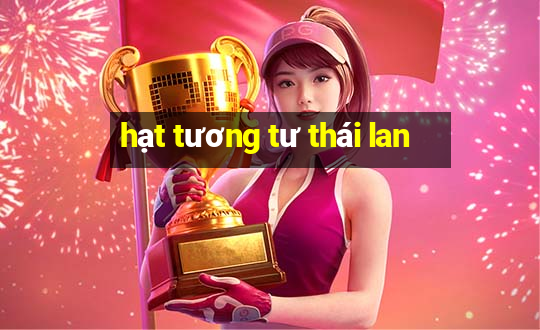 hạt tương tư thái lan