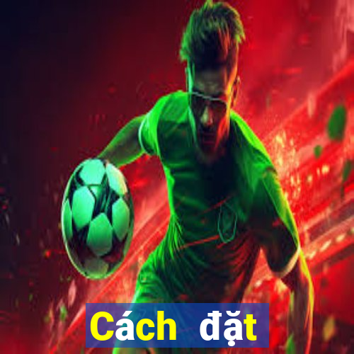 Cách đặt cược XSDNO ngày 12