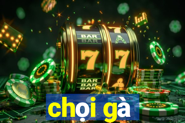 chọi gà