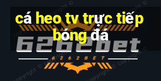 cá heo tv trực tiếp bóng đá