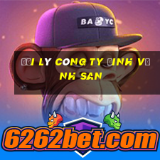 Đại lý công ty Đinh Vĩnh San