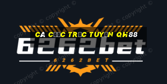 Cá cược trực tuyến QH88