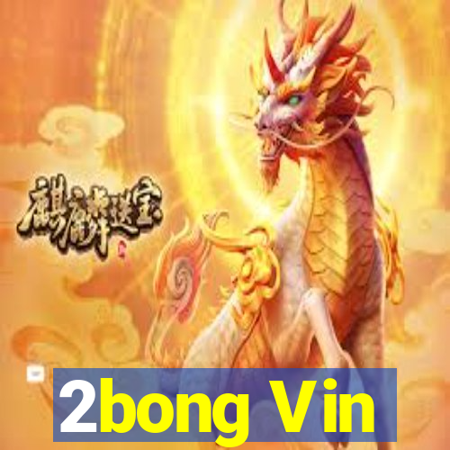 2bong Vin