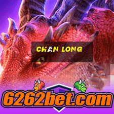 chân long