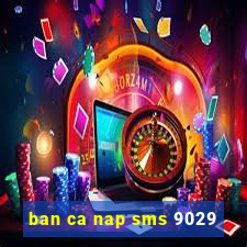 ban ca nap sms 9029