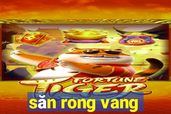 săn rong vang