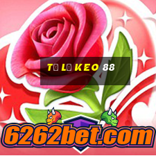 tỷ lệ keo 88