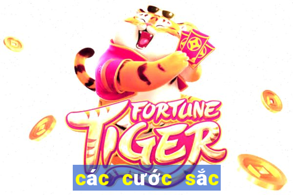 các cước sắc trong chắn