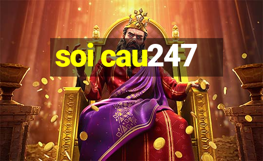 soi cau247