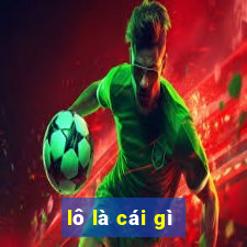 lô là cái gì