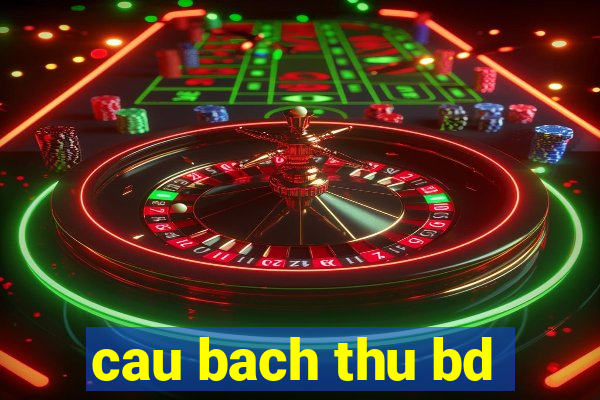 cau bach thu bd