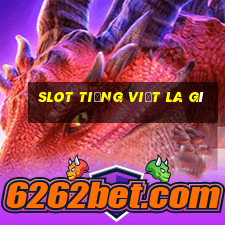 slot tiếng việt la gì